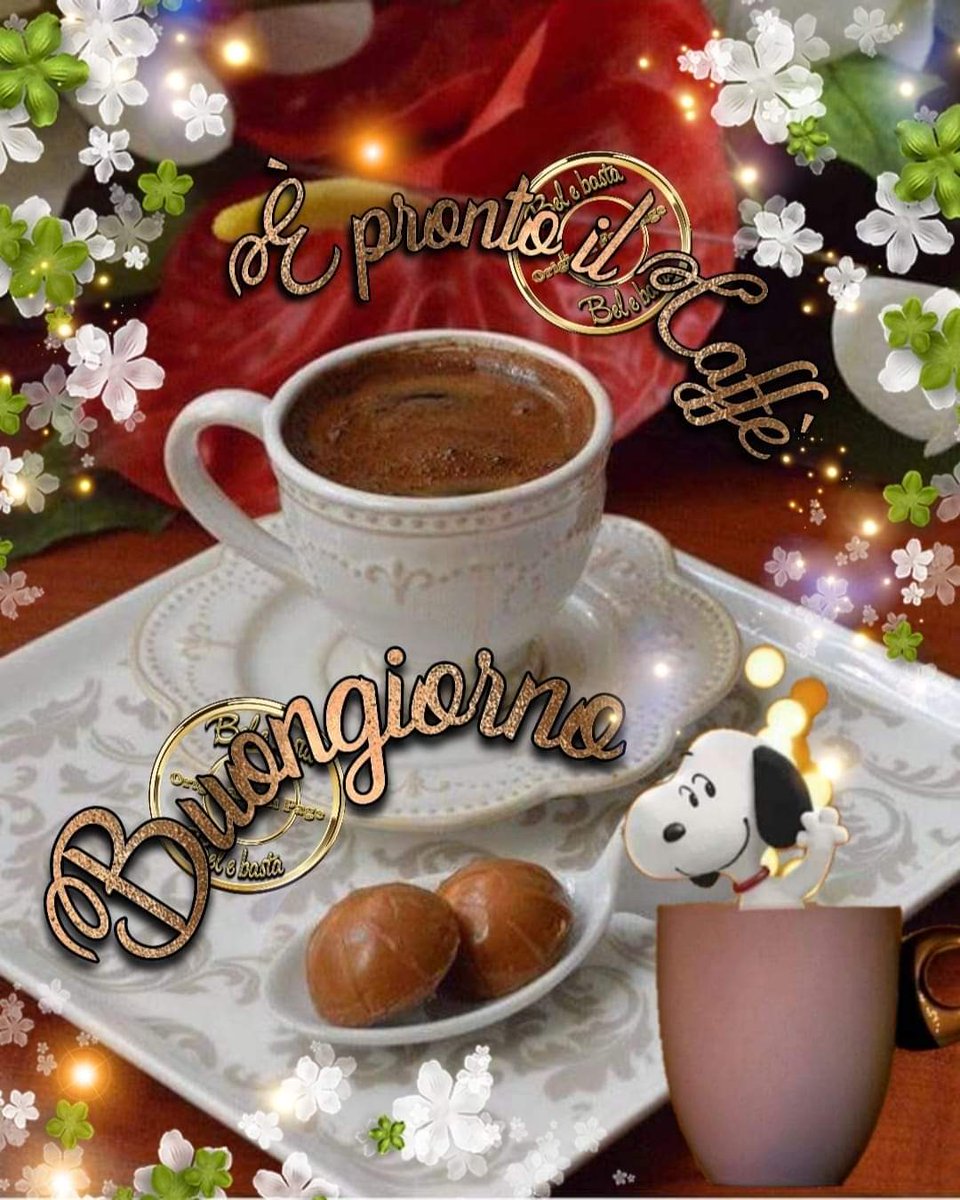 danielaursu2's tweet photo. @sono_selvatica Buongiorno https://t.co/sGuhCAeq1P