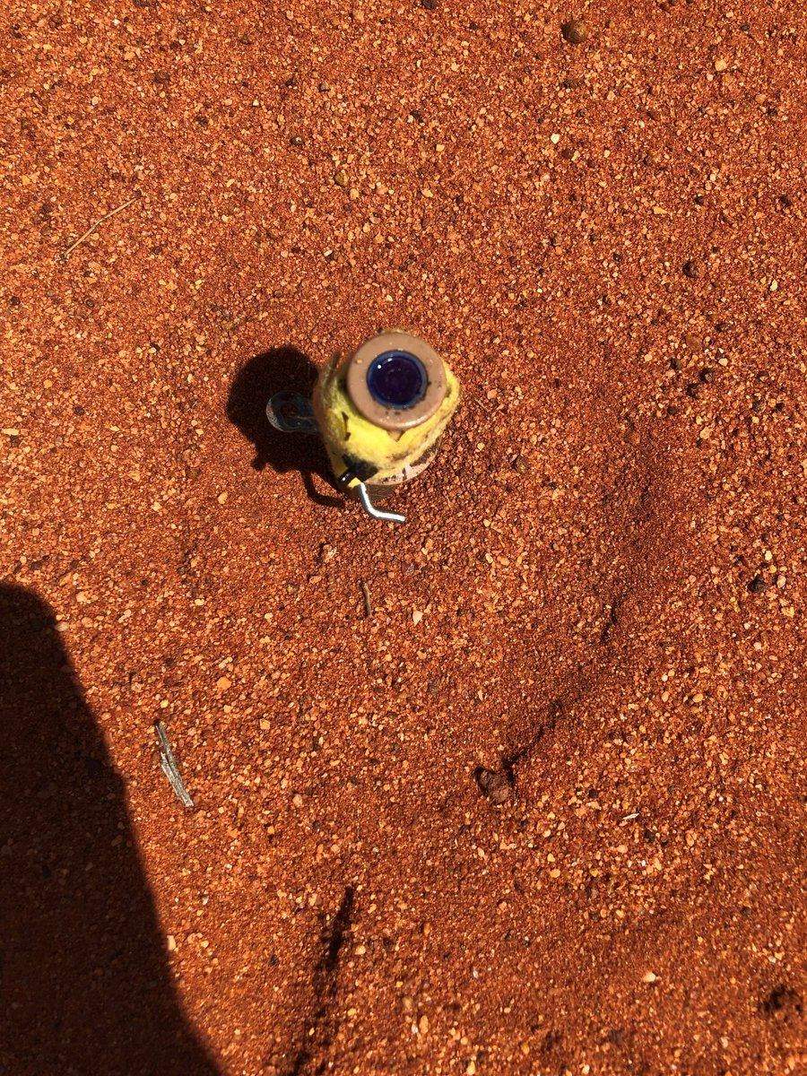 midlands_group's tweet photo. Horse hoof, synthetic fermented egg &amp; vanilla essence are among the novel odours tested for luring in wild dogs.
@westauscanids says a range of eight odours were tested in WA to improve lure uptake on canid pest ejectors (pictured) by wild dogs.
More info: https://t.co/DdSvvZuoip https://t.co/cf2gPxabIf