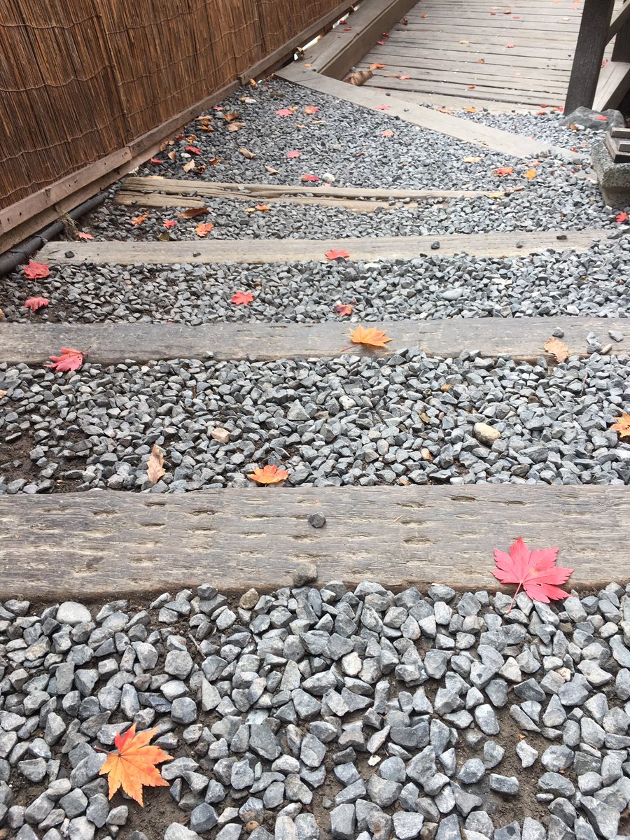 Zao_dairoten's tweet photo. 今日はもみじの葉っぱが通路一面に落ちる日です🍁形が可愛いですね💕 https://t.co/5reJjhAj4G