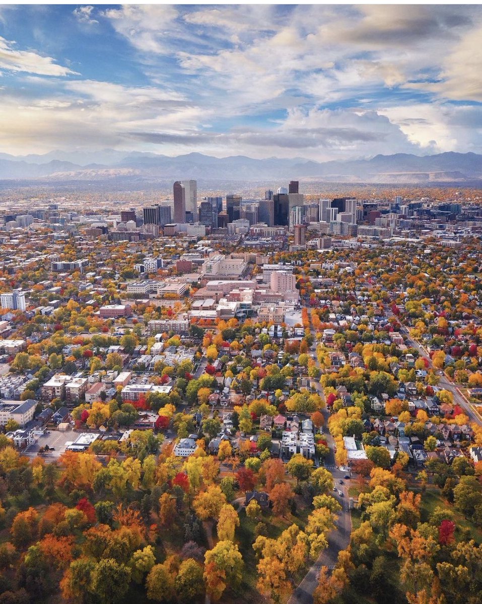 Beautiful shot of fall colors  in the Mile High City. (Photo by <a href="/Davie8thebaby/">David Iwane</a>.) #cowx #Denver #colorfulcolorado