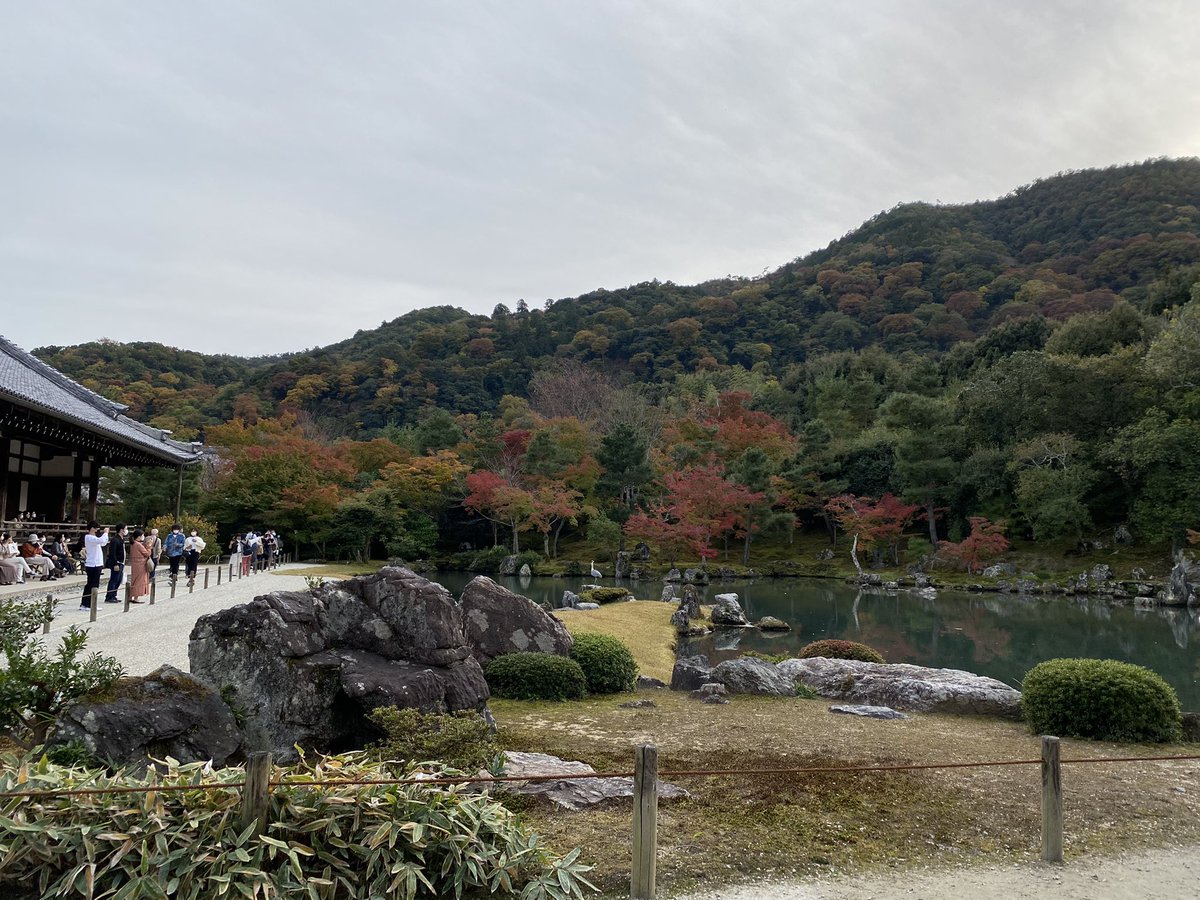 826Yzk's tweet photo. .

🌿🍂🍁🤍 https://t.co/2iJrlsGxT8