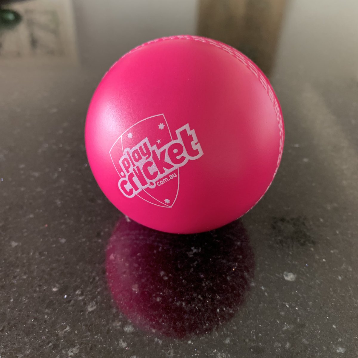 My daughter came home from school with this today. Surprised that it didn’t also come with a free sheet of sandpaper