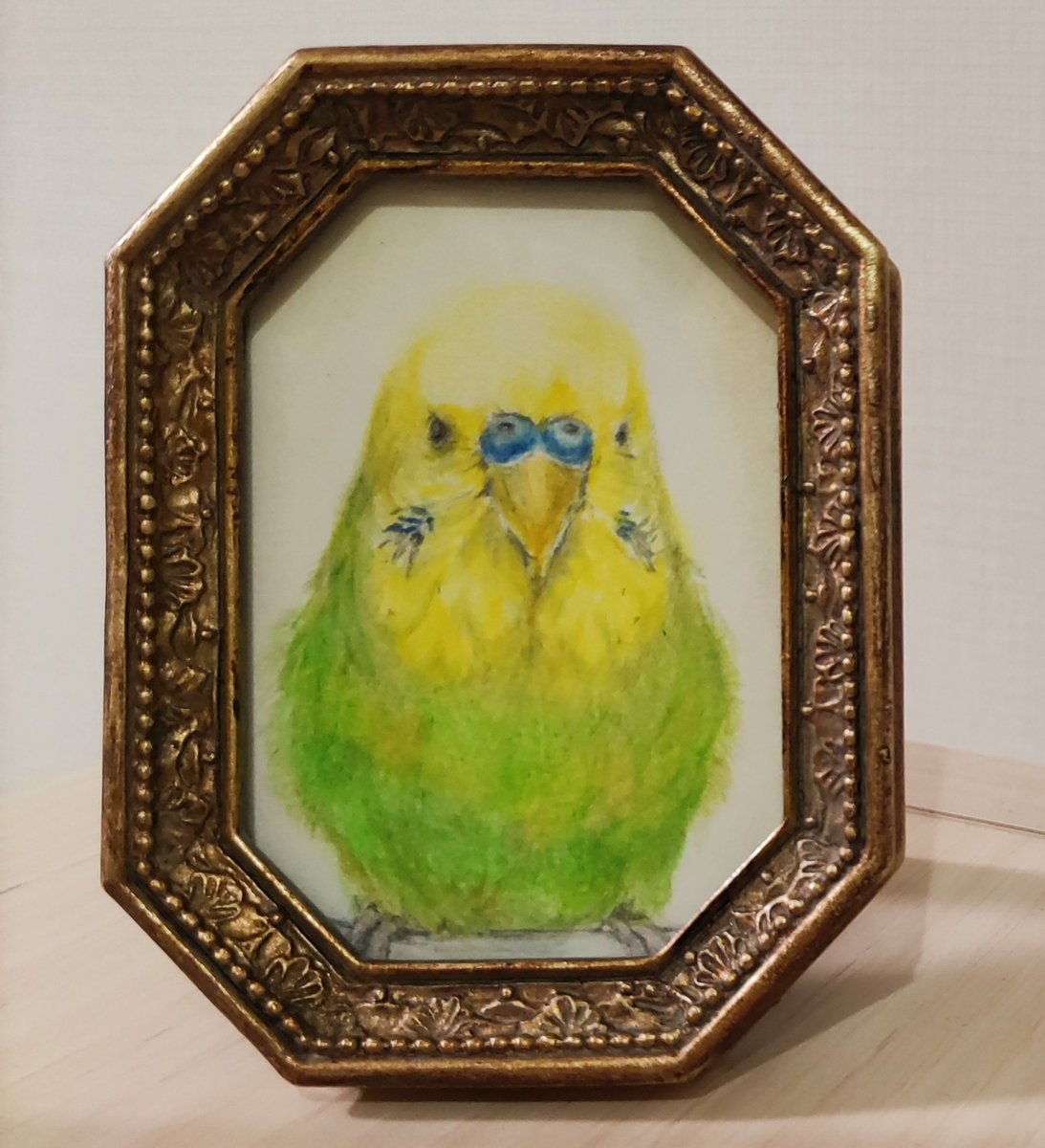 ぴの@ｾｷｾｲｲﾝｺ (@pinopinyotorida) / Posts / X