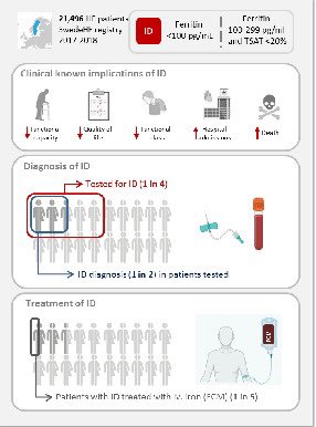 Javier Torres (@jtllergo) on Twitter photo ⚠️ Iron deficiency testing and treatment in heart failure: the eyes are useless when the mind is blind‼️
🇪🇸 Editorial in <a href="/ESC_Journals/">European Society of Cardiology Journals</a>
<a href="/secardiologia/">Soc Esp Cardiología</a> <a href="/yulnunezvill/">Julio</a> <a href="/gema_minana/">Gema Miñana</a> <a href="/rdelaespriella/">Rafael de la Espriella</a> <a href="/SantasEnrique/">Enrique Santas</a> <a href="/PatriciaPalau1/">Patrícia Palau</a> <a href="/SVCardio/">SVCardio</a>
onlinelibrary.wiley.com/doi/abs/10.100… ⚠️ Iron deficiency testing and treatment in heart failure: the eyes are useless when the mind is blind‼️
🇪🇸 Editorial in <a href="/ESC_Journals/">European Society of Cardiology Journals</a>
<a href="/secardiologia/">Soc Esp Cardiología</a> <a href="/yulnunezvill/">Julio</a> <a href="/gema_minana/">Gema Miñana</a> <a href="/rdelaespriella/">Rafael de la Espriella</a> <a href="/SantasEnrique/">Enrique Santas</a> <a href="/PatriciaPalau1/">Patrícia Palau</a> <a href="/SVCardio/">SVCardio</a>
onlinelibrary.wiley.com/doi/abs/10.100…