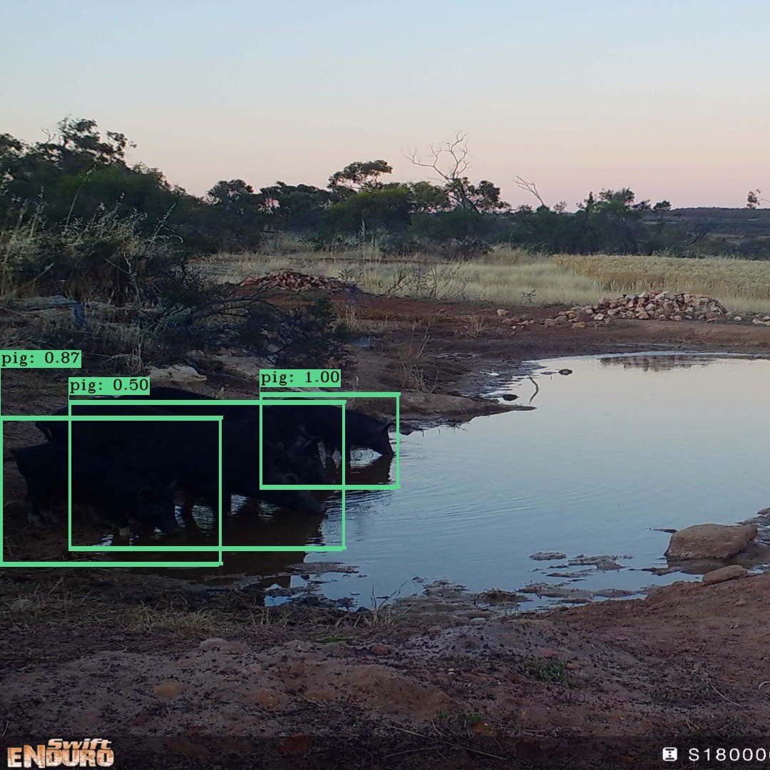 midlands_group's tweet photo. We have some amazing new cameras thanks to funding from the State Gov to develop of a sophisticated camera trap network in the northern agricultural zone of WA (https://t.co/j8hhaSJRXl).  
The cameras use AI tech to identify specific animals - recent photos below! @westauscanids https://t.co/hOC2U4PG48
