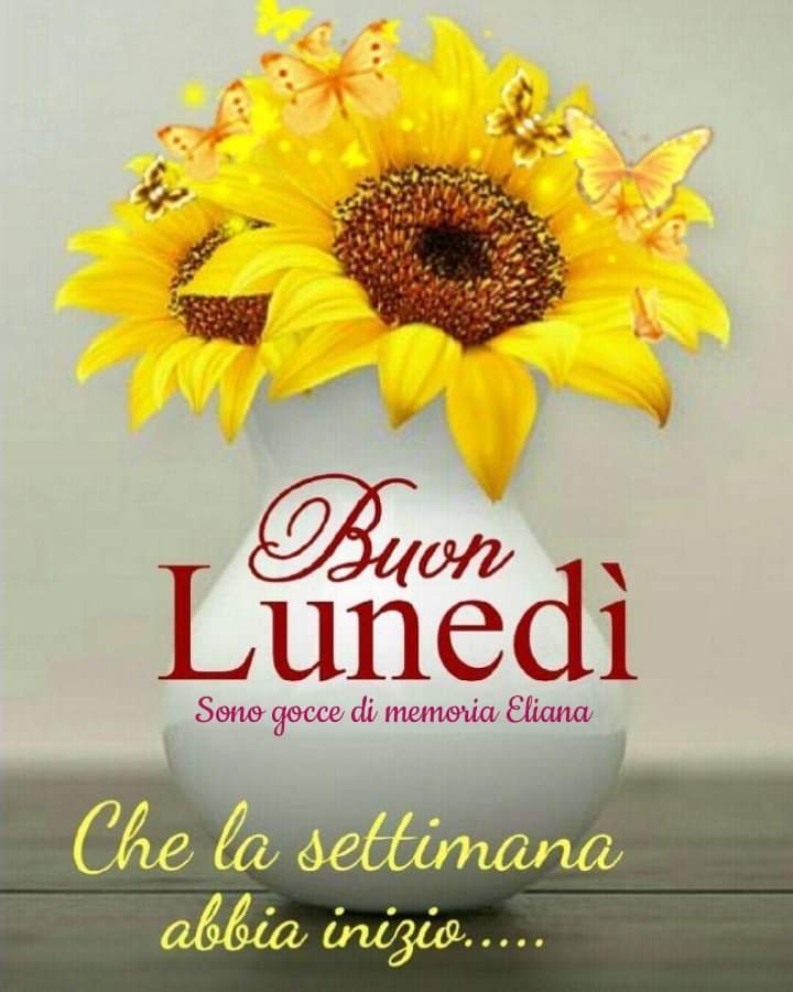 Simonetta Carrega tweet media