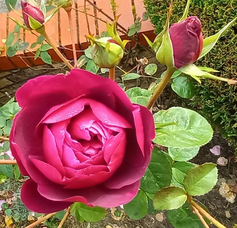 Today is my new favourite day 😁