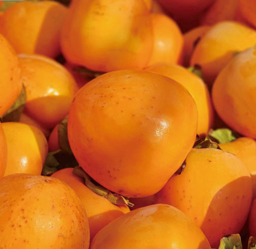 제철과일 신선한 햇 대봉감이 납셨따
어떤 달콤함도 대봉을 이길 수 없따 !
대봉의 건강한 자연의 단 맛
라이브 방송중에만 만나볼 수 있는
혜택 그리고 쿠폰에 적립까지~
21-11-11(목)오후3시
view.shoppinglive.naver.com/lives/305156
​#햇대봉감 #대봉 #제철과일 #달달구리 #천연간식 #천연단맛 #달달해 #홍시 #자연