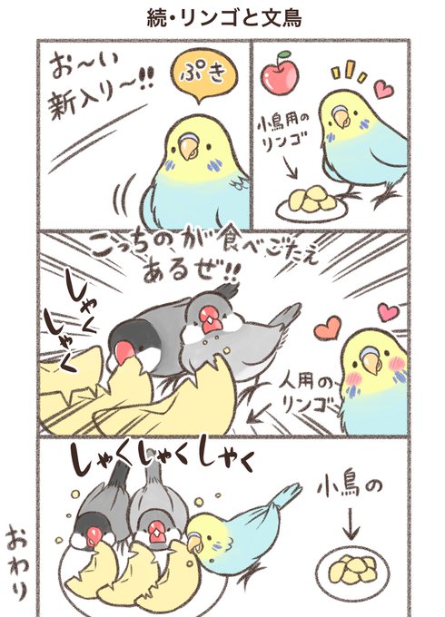 マンガ「続・リンゴと文鳥」

こうなるよね🍎🍏

#漫画が読めるハッシュタグ  #セキセイインコ 