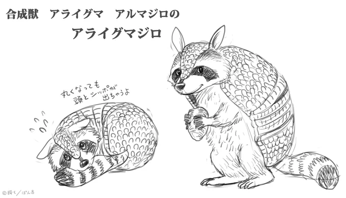 アライグマ アルマジロ の アライグマジロ  のラフ画#合成獣 