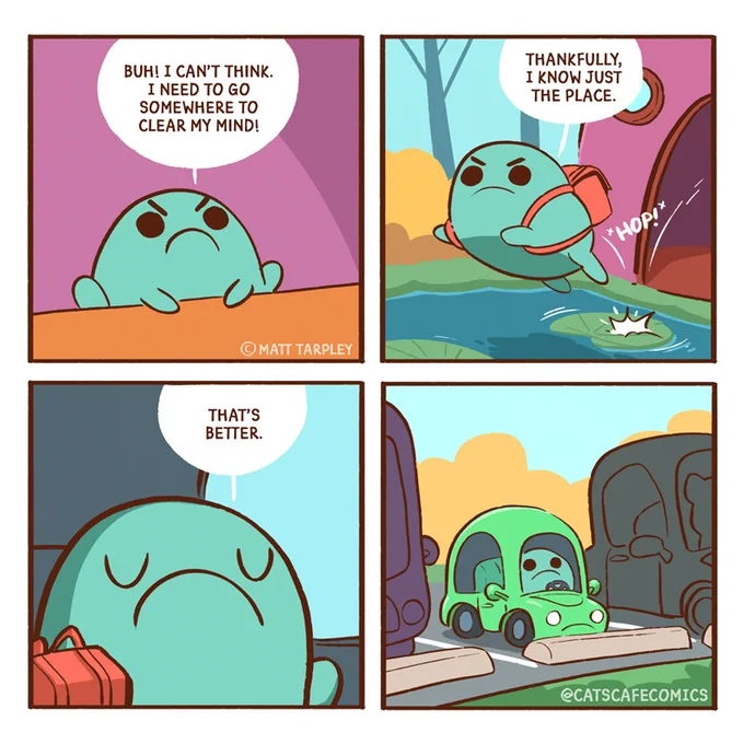 Toad knows just the place! 🐸 