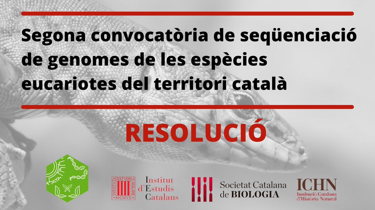 CatBiogenoma's tweet photo. 📢Ja està disponible la resolució de la Segona convocatòria de #seqüenciació de #genomes de les espècies #eucariotes del territori català! 

👀Podeu consultar els projectes finançats a ➡️https://t.co/2VR7vQfkfR https://t.co/Vf8w08WRTA