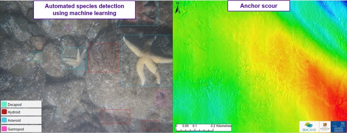 It is #Adaptation, Loss and Damage day at #COP26. Did You Know… At CGG Environmental Science, we are working with SEACAMS2 at @BangorUni to integrate lab-based analysis with machine learning-led object detection to analyse marine species and habitats on the seafloor.