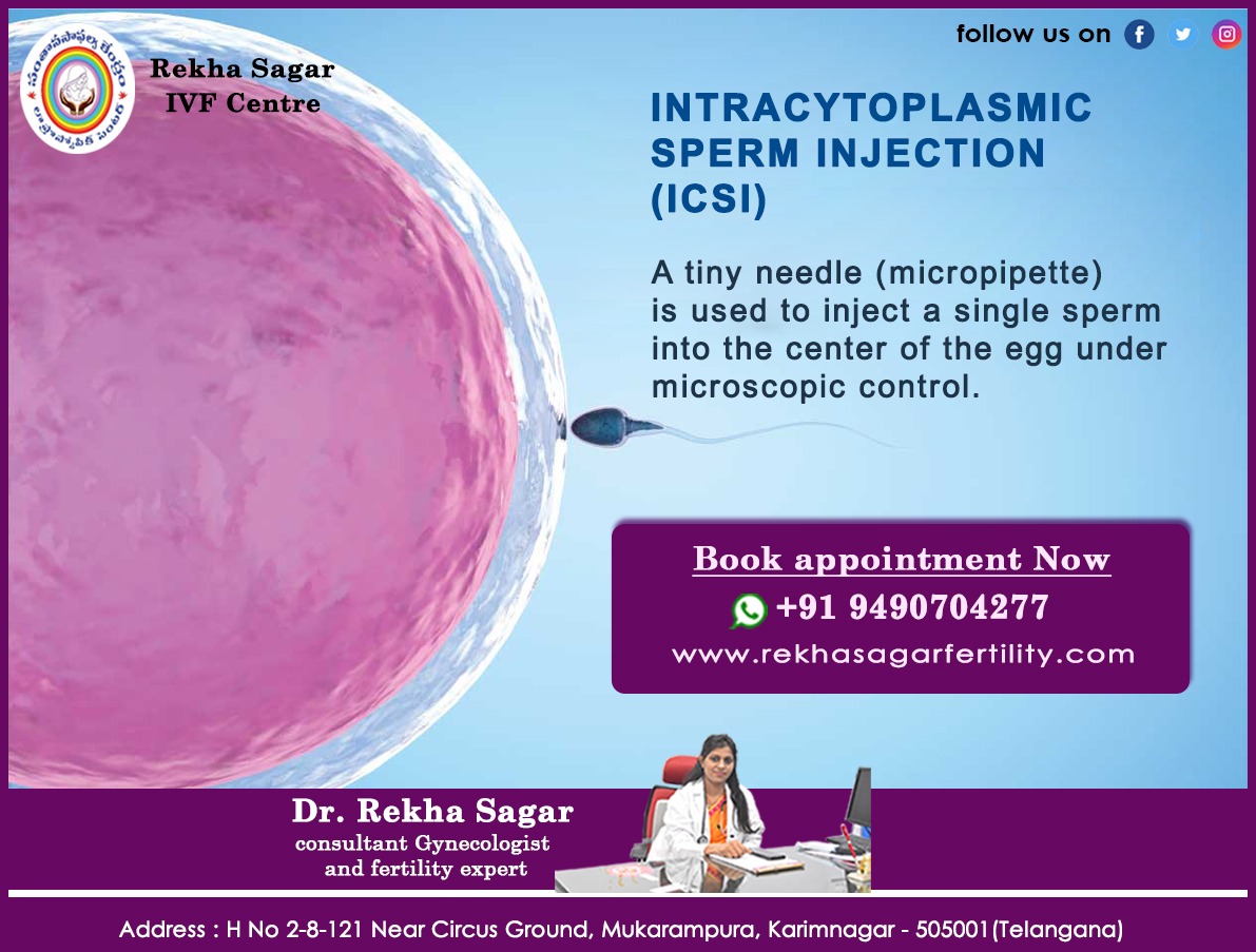 DrRekhaSagar1's tweet image. Sometimes the sperm cannot penetrate the #outerlayer, for a variety of reasons. The egg’s outer layer may be #thick or hard to penetrate or the sperm may be unable to swim. 

For more visit: rekhasagarfertility.com