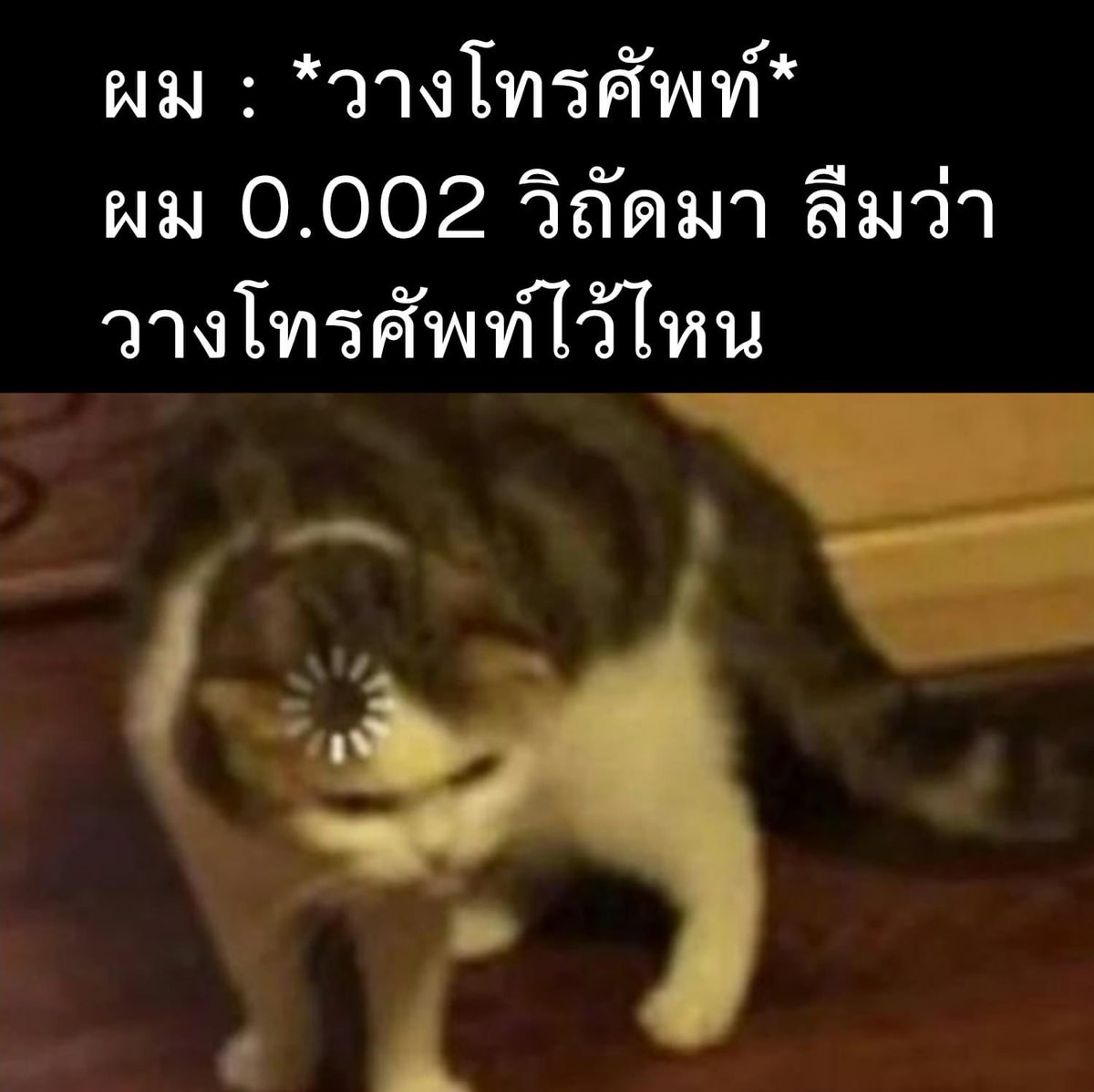 ช่างแม่ง🐰🏳️‍🌈 tweet media