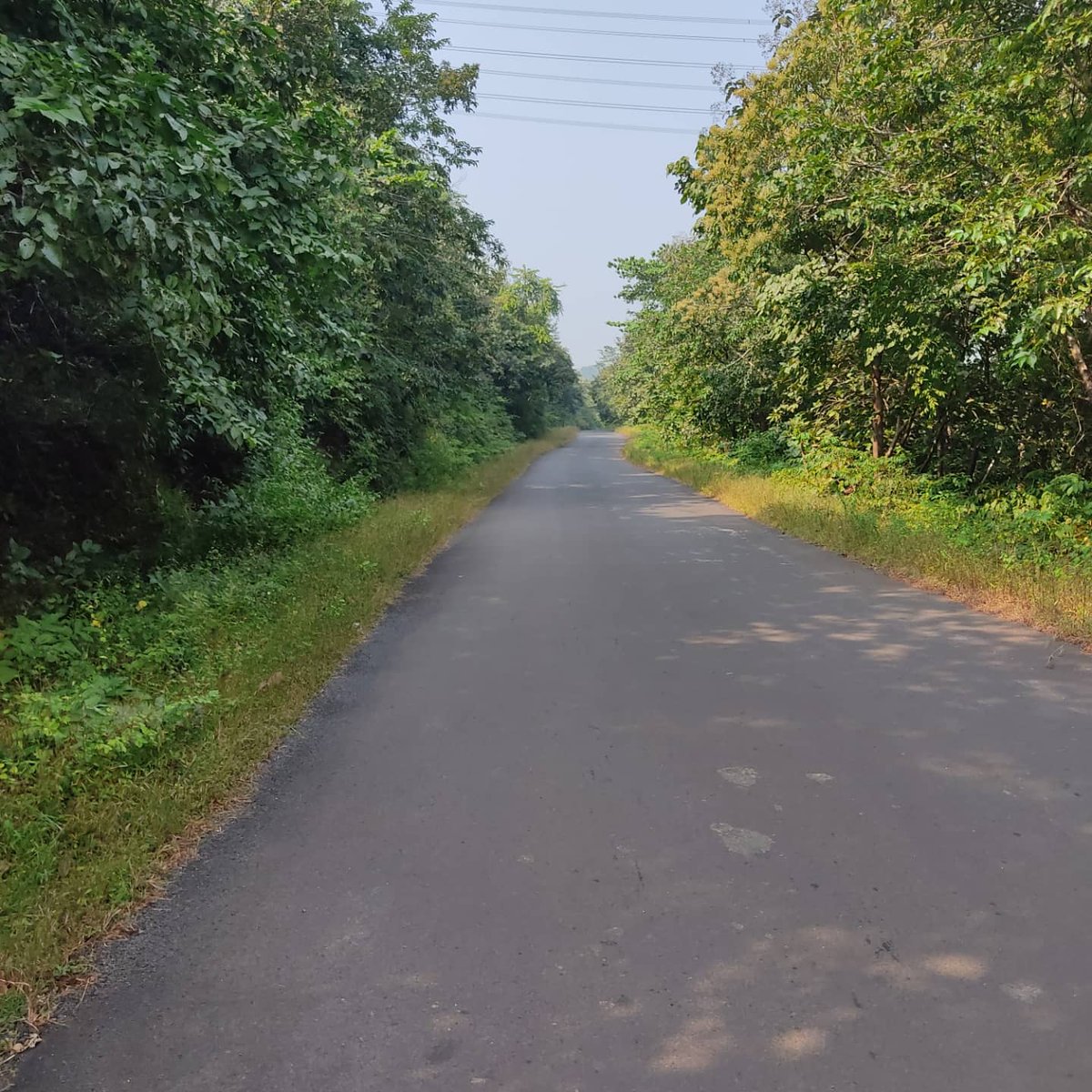 interactivesin's tweet photo. No #rains since yesterday, which means we can get back to the #coastalroad 

Such a relief to be back from the #monotonus #highway 

Have interesting #stories about my #journey through the #highway but that will have to wait. 

Now #sharing just some beautiful #roads https://t.co/B1RtTiuLsG