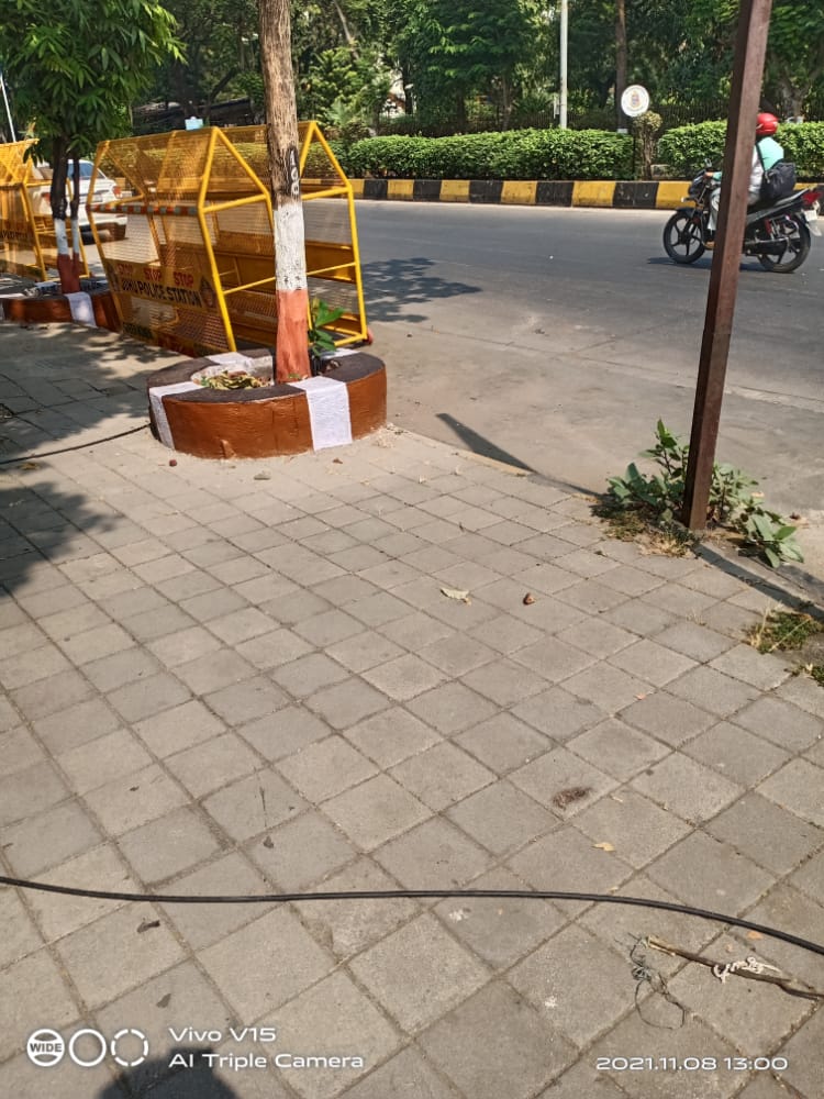 renu_hansraj's tweet photo. #savetreessavelives https://t.co/Dy9CFA6kdh