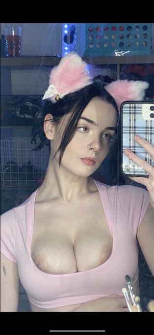 2 pic. kitten :3 https://t.co/3WWPgGtIFt