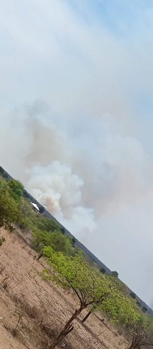 yangaza209's tweet photo. If we can not handle the Impacts of #Climatichange , #why? We are still destructing natural resources.@ClimateReality @ClimateEnvoy @ClimateGroup
@UNEP @WBG_Climate @AirPollutionDan #Bushburning #fire #Climate https://t.co/yPdjxZf1LV