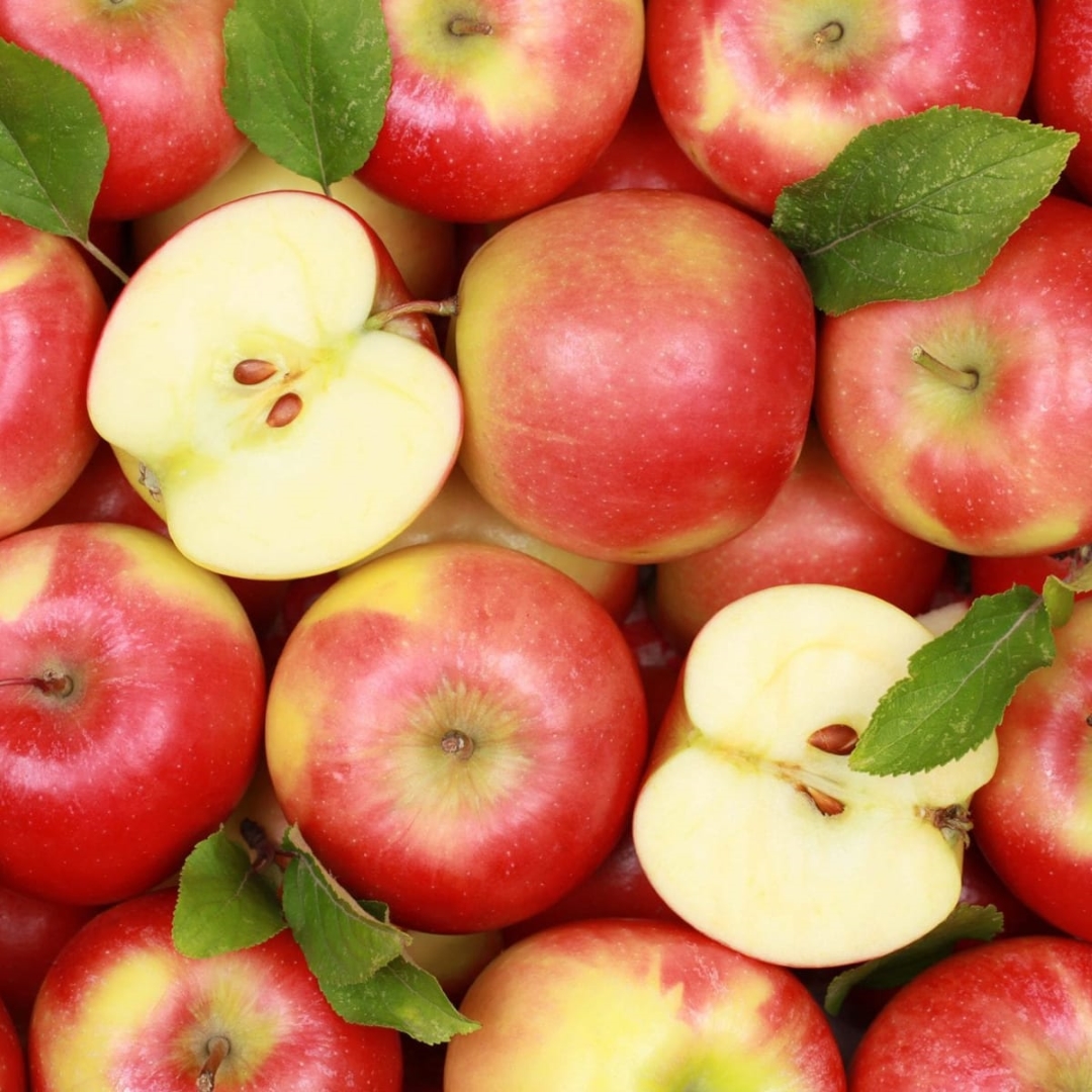 Health Research | Southampton (@uhsftresearch) on Twitter photo A new study on effects of antioxidant supplements on the immune system is recruiting healthy 50- to 65-year-old volunteers in the Southampton area. Read more bit.ly/3qaaTTy @DrCEChilds <a href="/UoS_nutrition/">@UoS_Nutrition</a> A new study on effects of antioxidant supplements on the immune system is recruiting healthy 50- to 65-year-old volunteers in the Southampton area. Read more bit.ly/3qaaTTy @DrCEChilds <a href="/UoS_nutrition/">@UoS_Nutrition</a>