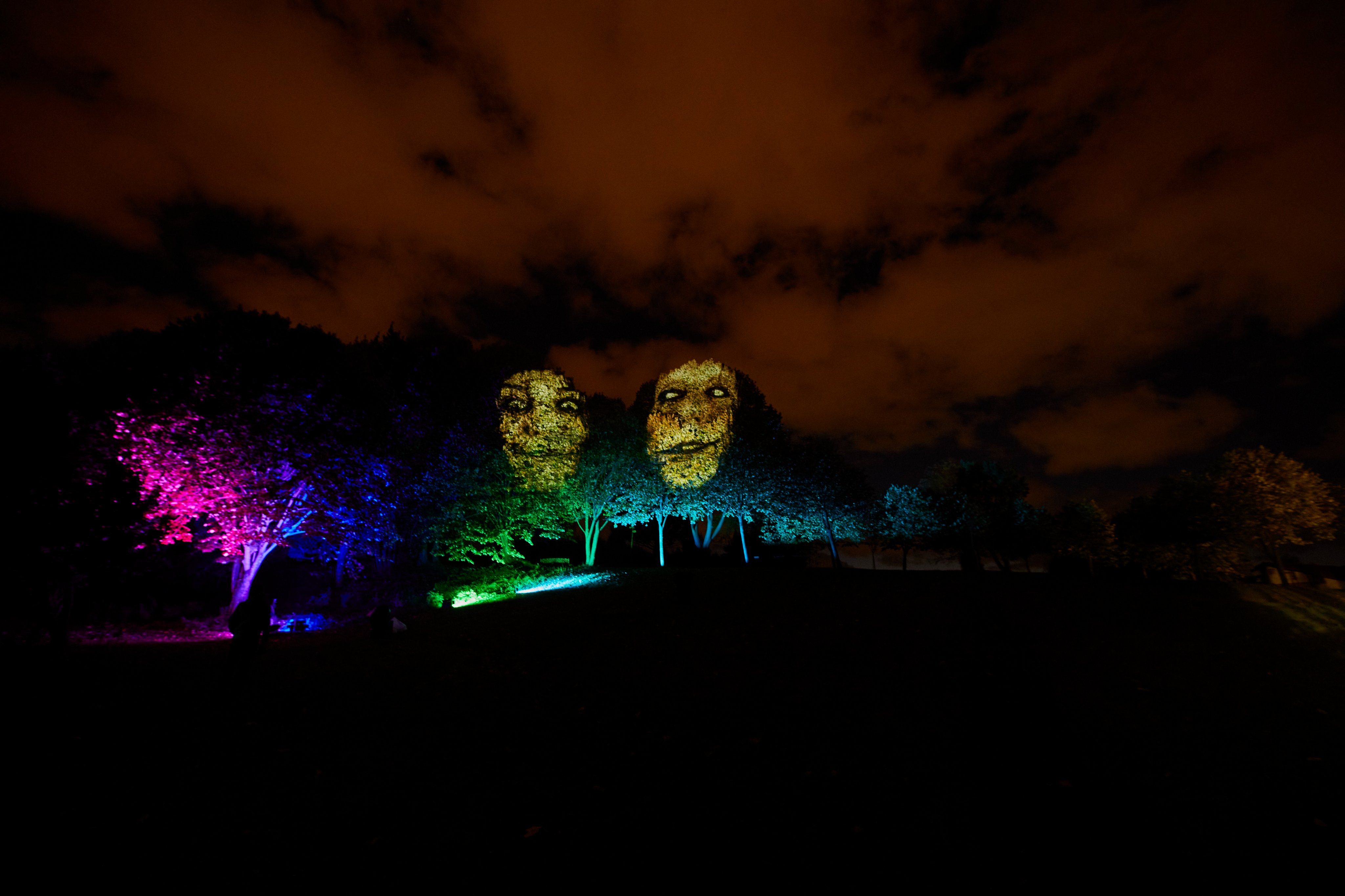 El Bosque De Los Deseos Leioa Leioa Udala on Twitter: "🎇🌳 El Bosque de lo Deseos de #Pinosolo se  despide con un rotundo éxito. Por ello, desde el área de Cultura aseguran  que trabajan ya en propuestas similares