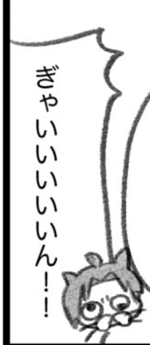 お気に入り 