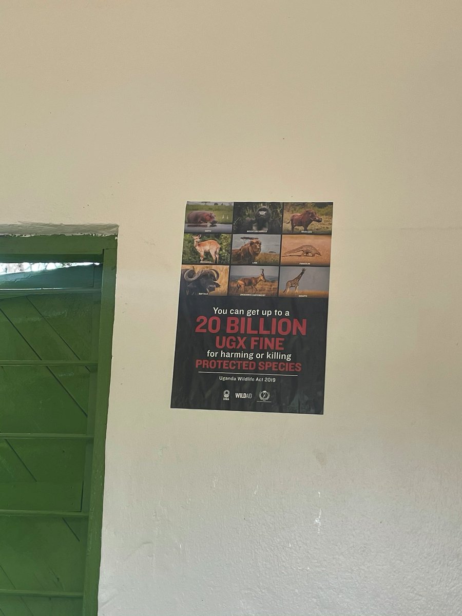 africankitchen_'s tweet photo. ウガンダで、とあるポスターを見つけました。

20 billion....？？

計算したところ、約6億5千万円でした🥶
このようにして野生動物は守られているんですねっ！
#アフリカ #ウガンダ #サファリ #ドライマンゴー https://t.co/cSUTUK2ihI