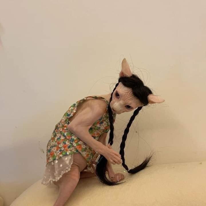 luvcr_'s tweet image. parece uma cantora indie