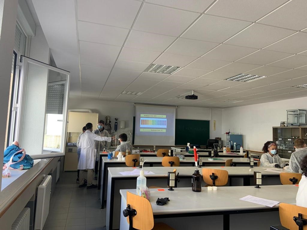 CREE_CYL's tweet photo. El alumnado de ESO de Soria del #ProgramaExtracurricularAACC en el taller "Introducción al método científico" investigan a través de experiencias, los principios físicos que hay detrás de ellas.Gracias al @iescastilla y al profesorado por acercar la ciencia al alumnado
@educacyl https://t.co/8cTHc8xGQu