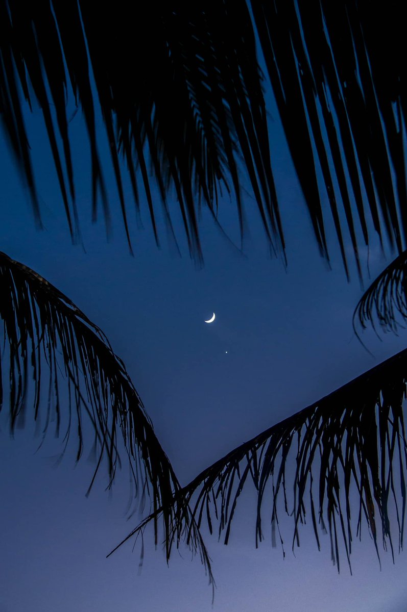 PhilippineStar's tweet photo. THE MOON MEETS VENUS 🌙

Netizen Ysabelle Marie Villarin shared these breathtaking photos of the moon and Venus meeting under the Bohol night sky on Monday evening. (Photos courtesy of Ysabelle Marie Villarin) https://t.co/TL5TcioLSu