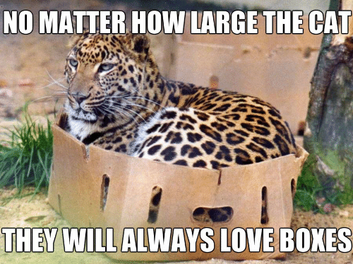 Marina Yoshie tweet media