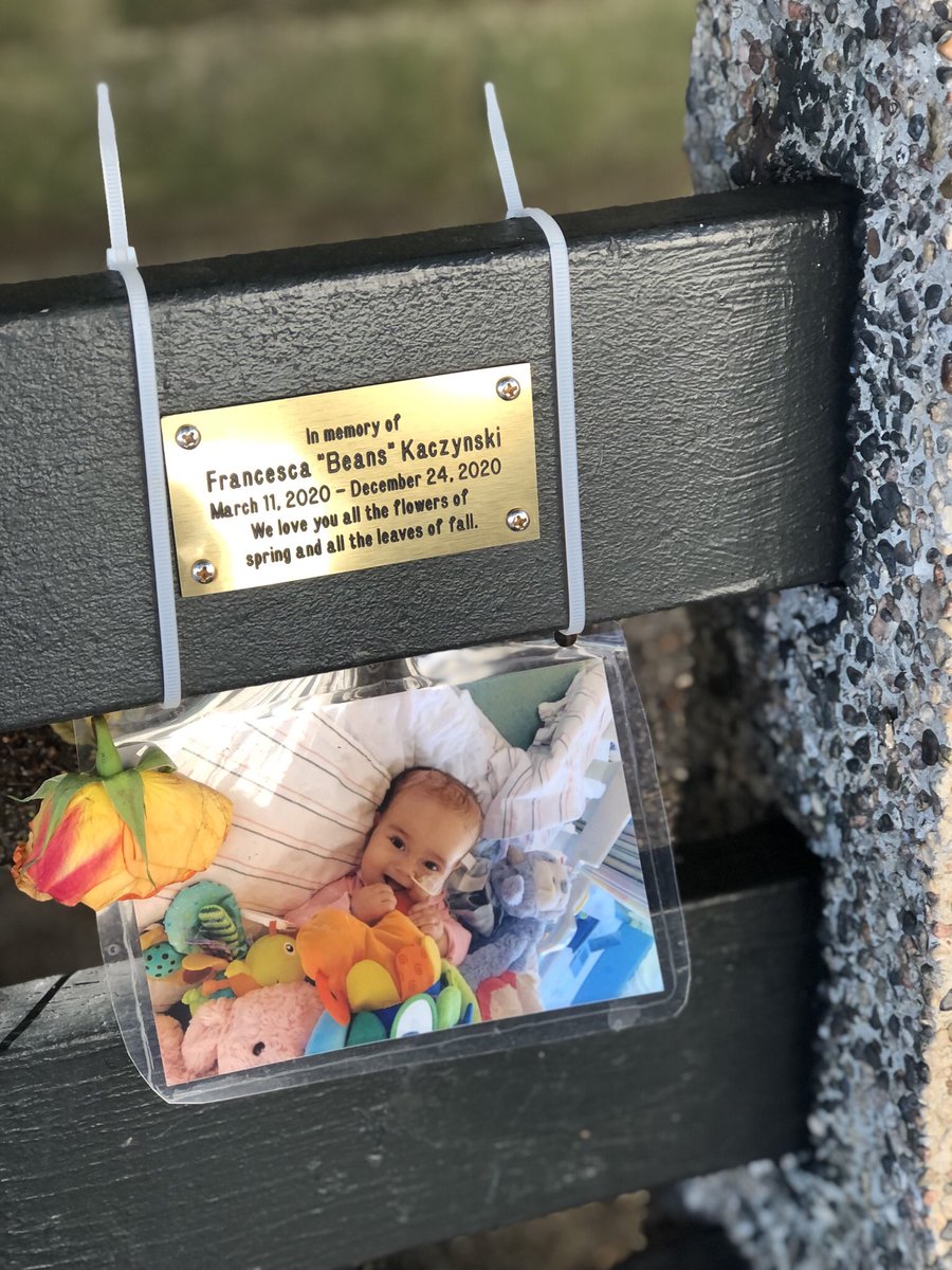 tracyhmartin's tweet photo. @KFILE I got to enjoy her beaming smile this morning outside of prospect park❤️ https://t.co/B5pOrqDwMv