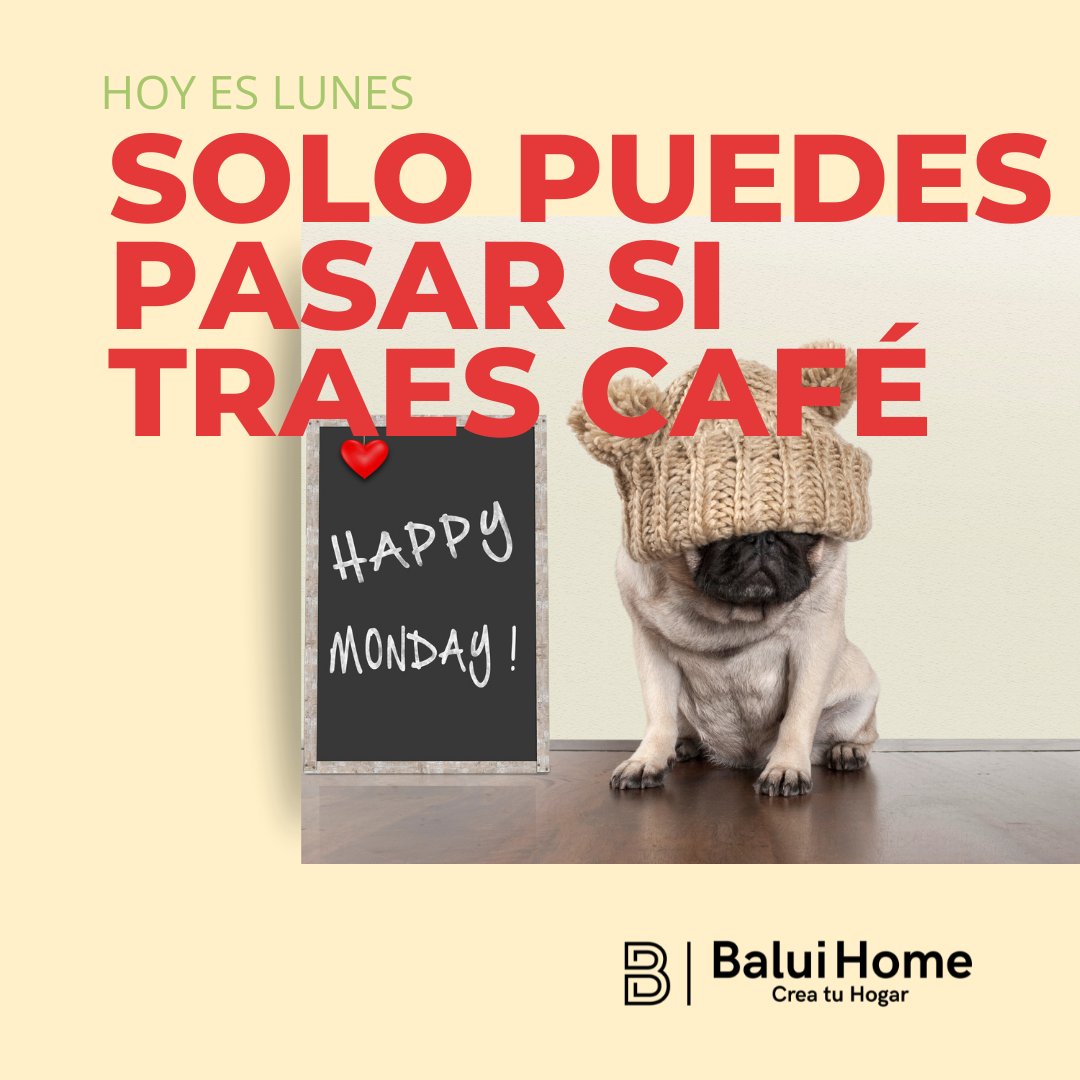 BaluiHome's tweet image. ¿Nos tomamos un café?

#baluihome #hogaresfelices #hogardeco #hogardefinitivo #hogar🏡 #decoracióndelhogar #hogarideal
#lunesconactitud