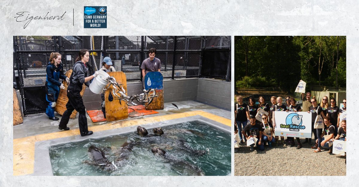 Eigenherd übernimmt Verantwortung: Daher unterstützen wir unseren Salesforce-Kollegen Markus Hueting und das gesamte ESMB-DE-Team gerne mit einer Unternehmensspende für die Wohltätigkeitsorganisation Seal Rescue Ireland:
idonate.ie/MarkusHueting6…