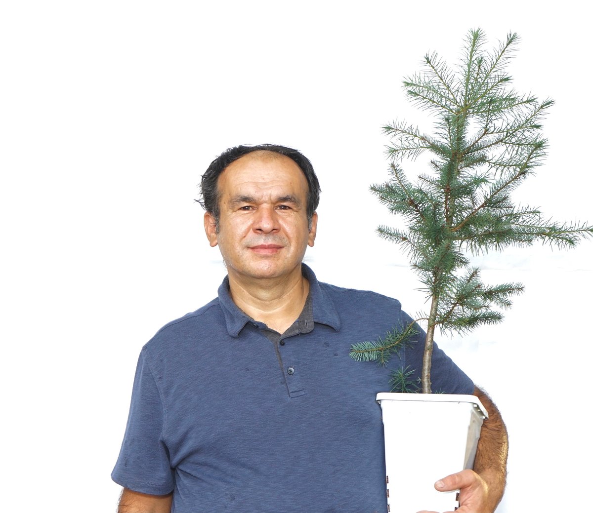 AlpineTruffle's tweet photo. Douglas fir (Pseudotsuga menziesii)-Oregon Black Truffle (Leucangium carthusianum) project. 2021.
#alpinetruffle #trufflecultivation #Leucangiumcarthusianum #oregonblacktruffle #douglasfir https://t.co/hXQ8vYeoMW