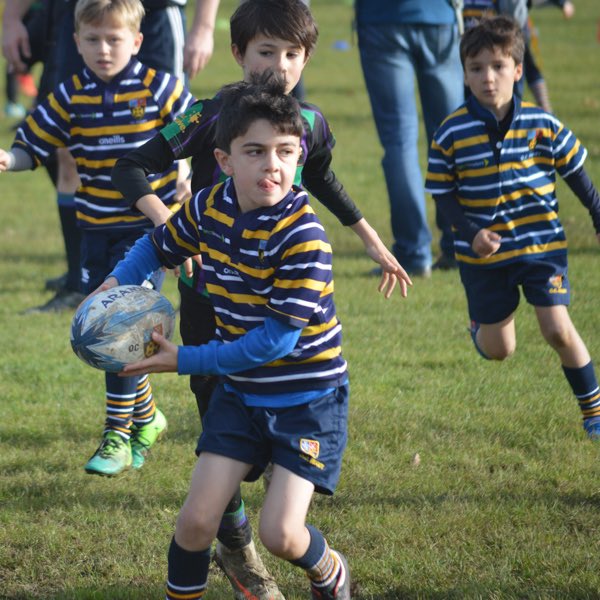 Oc Rugby Jr Old Cranleighan's Junior Rugby (@OCs_JuniorRugby) | Twitter