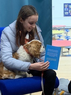 PupilSupportDGS's tweet photo. Our Friday group at Paws to Read, we  have added even more students to the groups.  We were joined this week with S6 helpers and Student teachers.  #RISE #DGS https://t.co/1f3PeSzdBU
