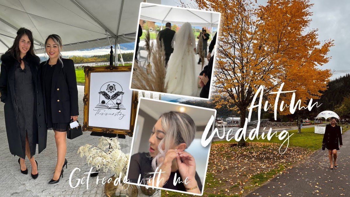 Metacell Music tweet media