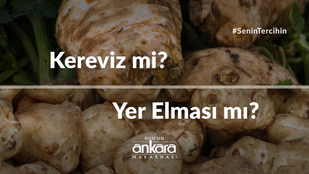 Kış aylarının en sağlıklı ve en besleyici sebzelerinden, karaciğer dostu kereviz, kendine özgü tatlımsı lezzeti ile nefis yemeklerin yanı sıra çok güzel atıştırmalıkların da baş rol oyuncusu olan yer elması ile karşı karşıya geliyor. Kereviz mi, yer elması mı? 

#AnkaraMakarna