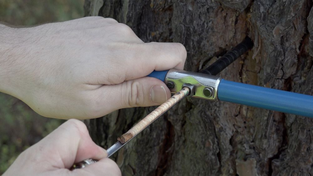 Madera Plus tweet media