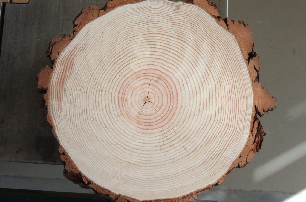 Madera Plus tweet media