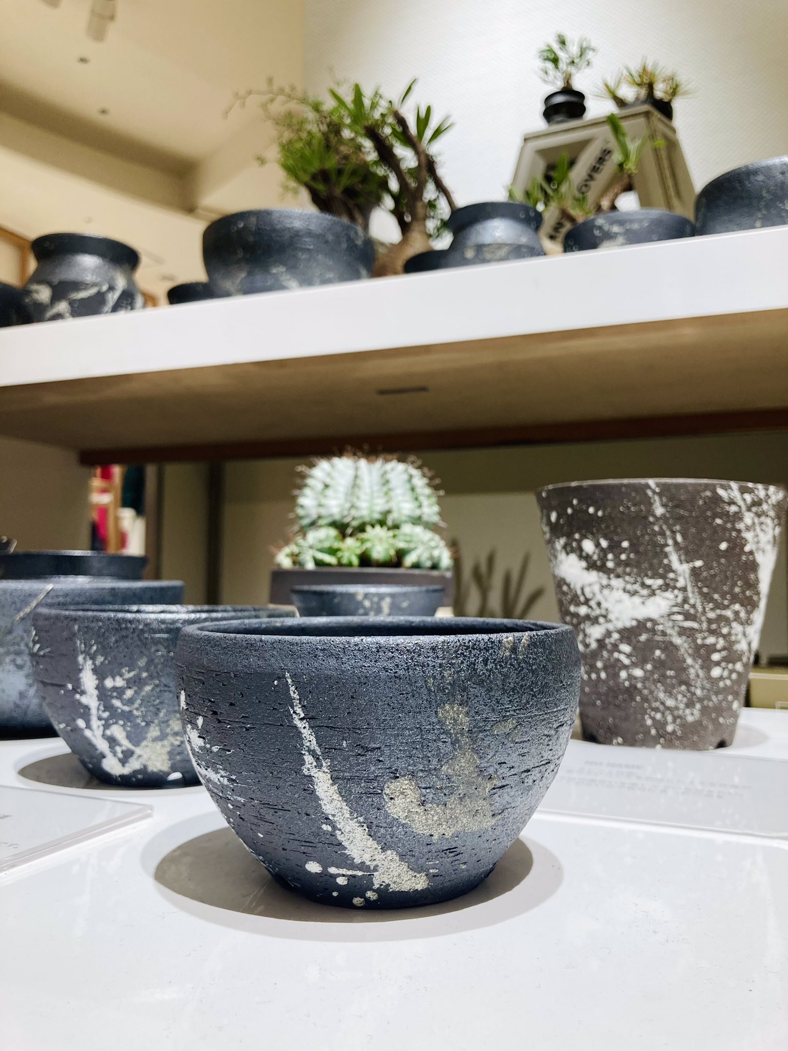 BOTANIZE バンクシー プラスチック鉢 2種セット