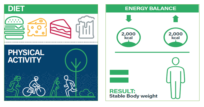 📢CEFS' DG new article:
There are three components of a balanced diet:
✅the right amounts of fats, carbohydrates and proteins;
✅a stable balance ⚖️ between calories ingested and calories burnt;
✅and a physically active lifestyle 🚴‍♂️🏃‍♂️ 🏋️‍♂️
Read more 👉 bit.ly/3El0JDE