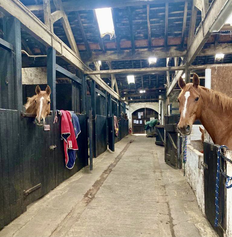 Kimmerston Riding tweet media