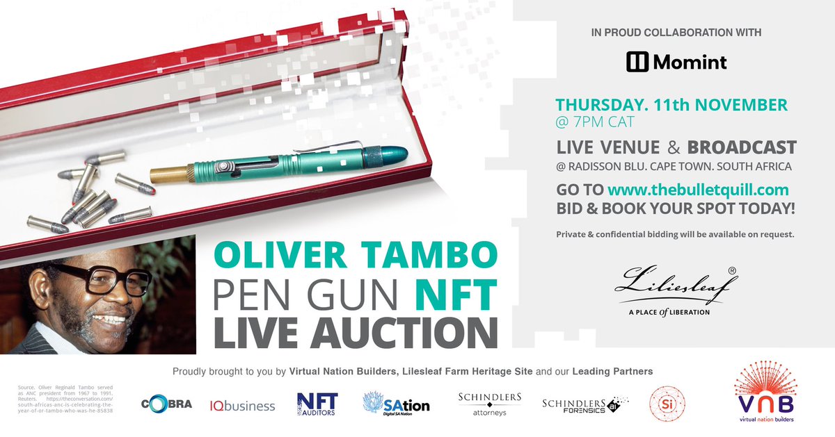 Virtual Nation Builders tweet media