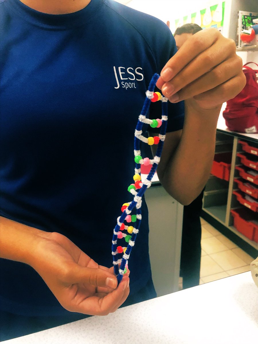 JESSScienceDept's tweet photo. 𧬠Y8 have been learning about DNA and have made some fantastic models π§¬#JESSBiology #JESSChallenge https://t.co/KAfPwHwPhR