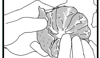 みかんみかんみかん(デケデケデケデケ
みかんみかんみかん(デケデケデケデケ
みかーん
穏やかな漫画を描いていますが作業BGMはみかんのうたです