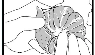 みかんみかんみかん(デケデケデケデケ
みかんみかんみかん(デケデケデケデケ
みかーん

穏やかな漫画を描いていますが作業BGMはみかんのうたです 