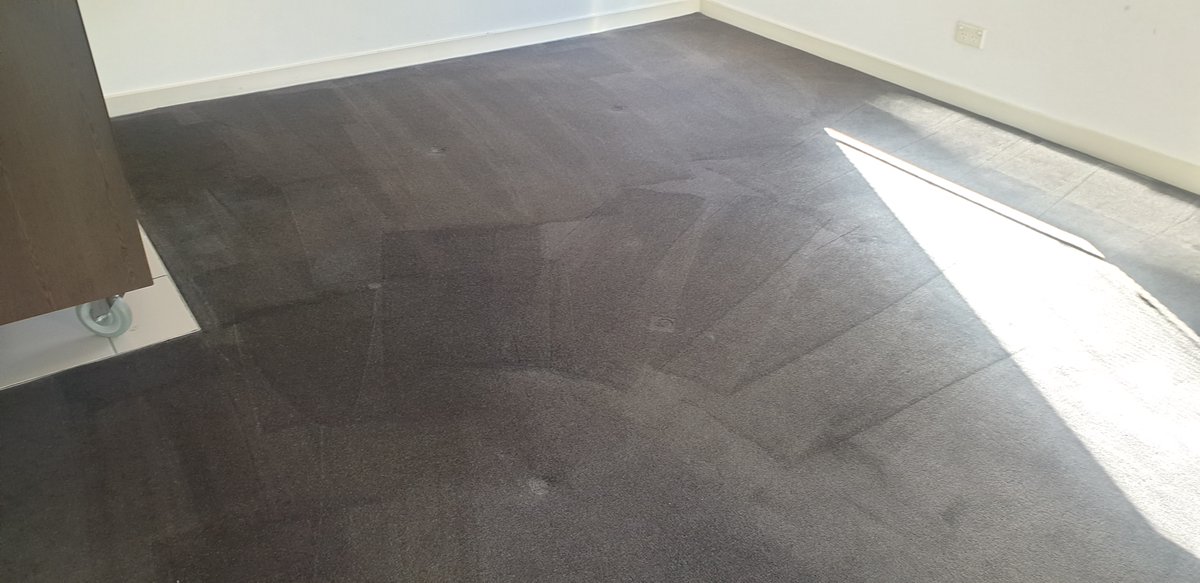 BrightzoneClean's tweet photo. If you are looking for the most reputed carpet cleaning Melbourne, Brightzone Carpet Cleaners Melbourne is here. We use the safest cleaning detergents.

https://t.co/AUsmNQ9tkr

#carpetcleaning #carpets #carpetcleaningservice #carpetcleaningmelbourne https://t.co/2sicNXDMCm