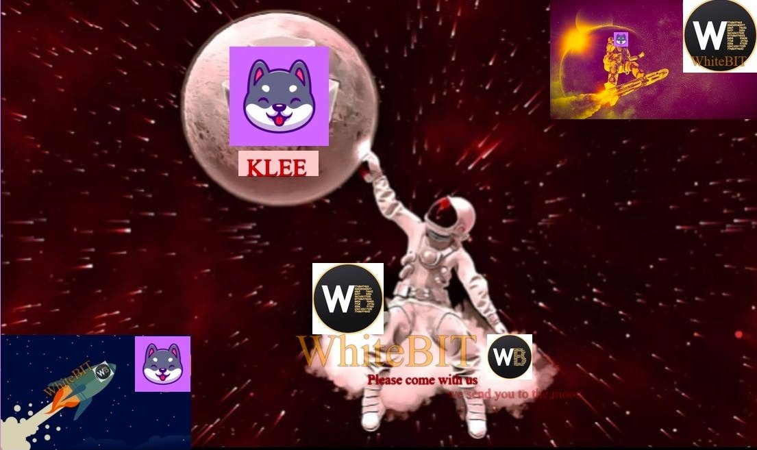 ducnguyenlc86's tweet photo. @WhiteBit @KleeKaiETH let's create and receive the values ​​of WhiteBIT, the value and exploit the strengths of the crypto world
@TCLCVN 
@MinhTue87195061 
@xuantien250 
#WhiteBIT_meme https://t.co/fjiXxfVc51